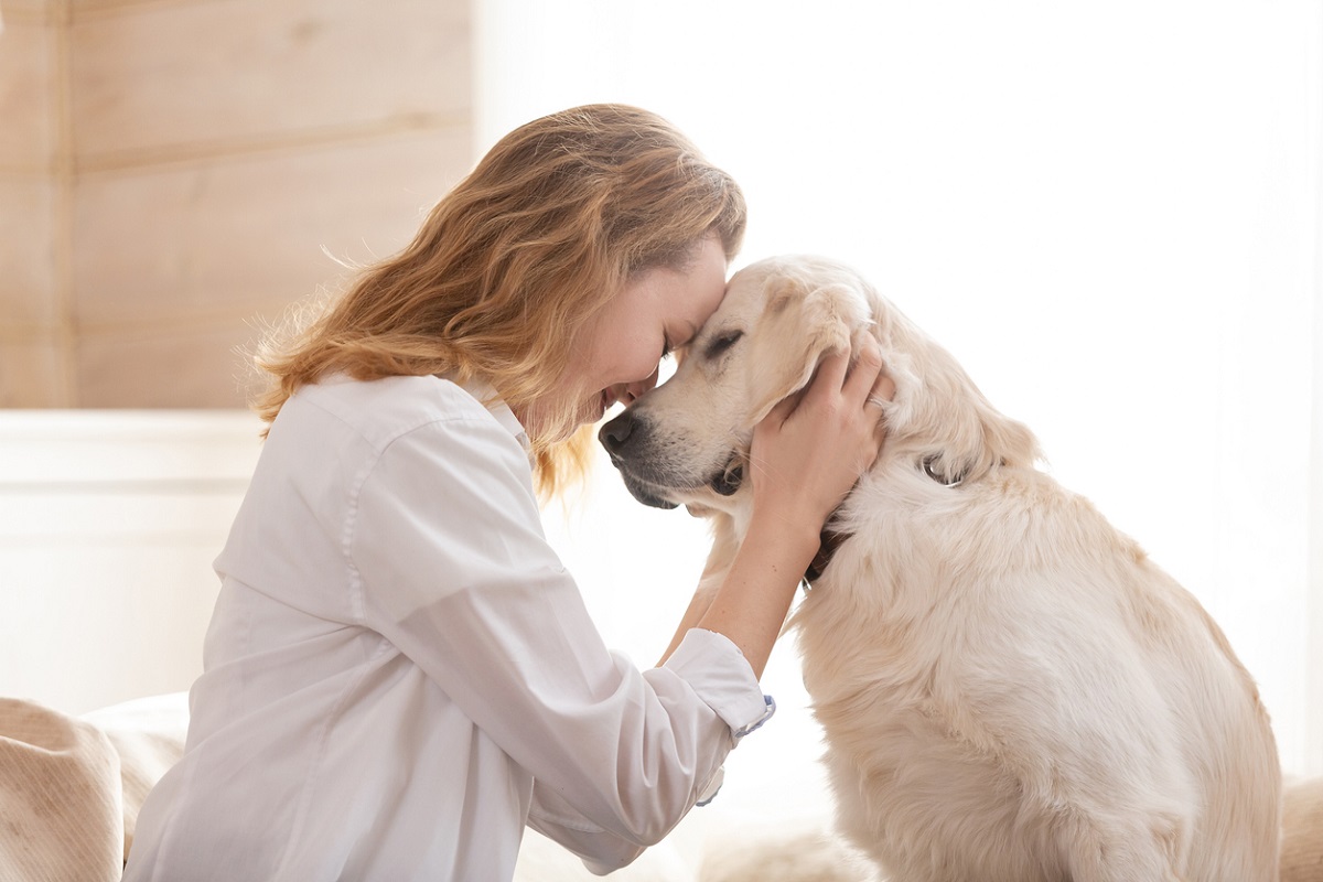 Ciência confirma que o seu cão pode apaixonar-se por si